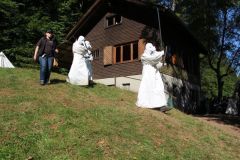 IMG_8237