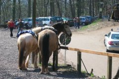 Larpi-Burg-Landeck-034